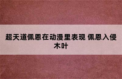 超天道佩恩在动漫里表现 佩恩入侵木叶